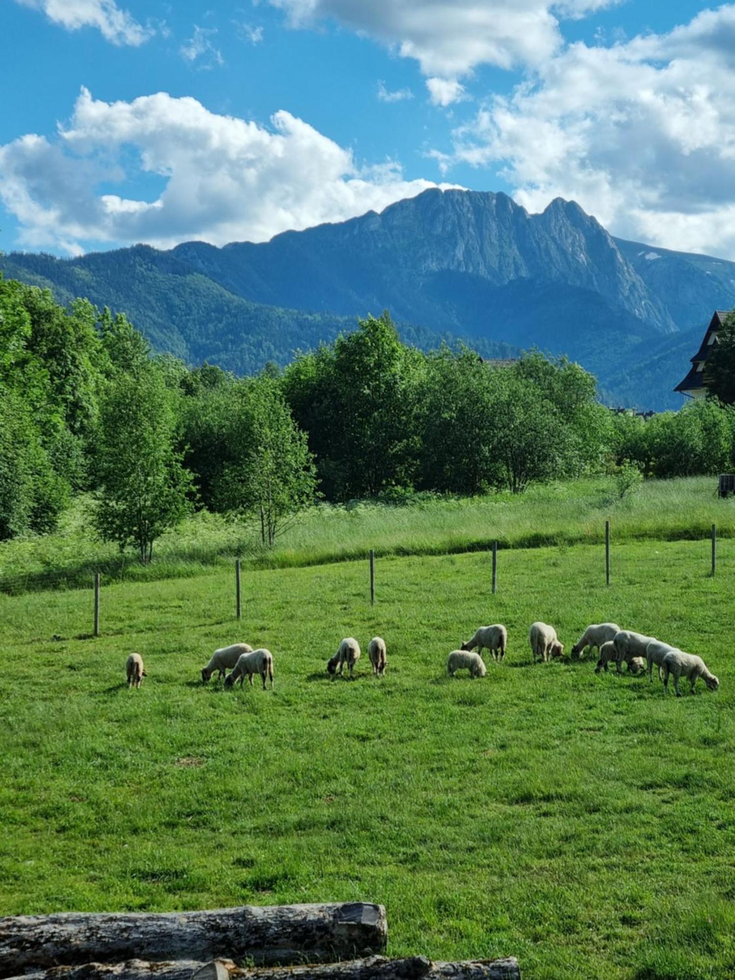 Podhalanska Chatka ซาโกปาเน ภายนอก รูปภาพ